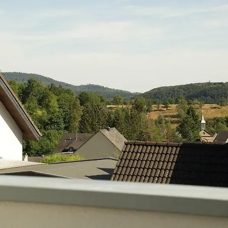 Riethelblick Daire Volkesfeld